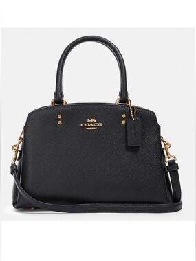 Coach Mini Carryall Bag